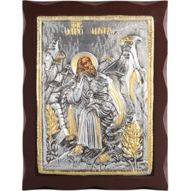 ΠΡΟΦΗΤΗΣ ΗΛΙΑΣ